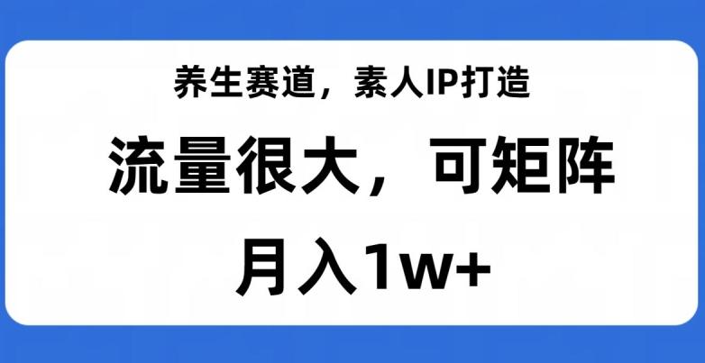 养生赛道，素人IP打造，流量很大，可矩阵，月入1w+【揭秘】-铜臭网