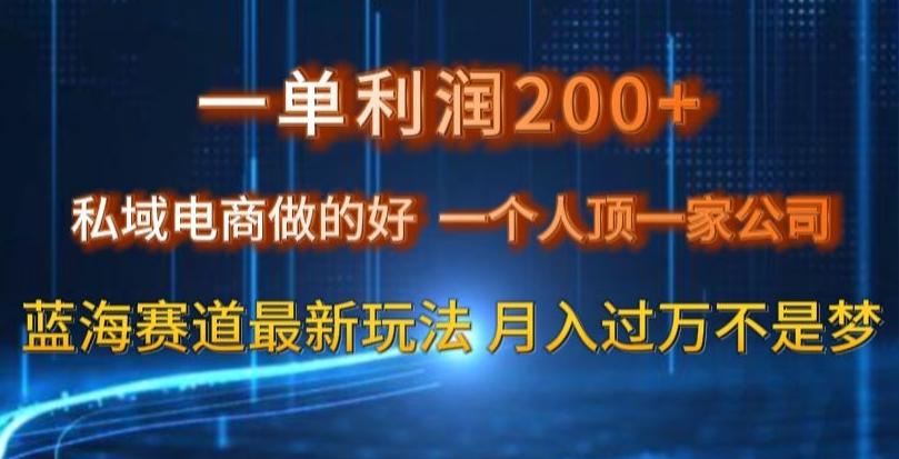 一单利润200私域电商做的好，一个人顶一家公司蓝海赛道最新玩法【揭秘】-铜臭网