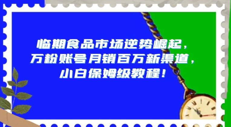 临期食品市场逆势崛起，万粉账号月销百万新渠道，小白保姆级教程【揭秘】-铜臭网