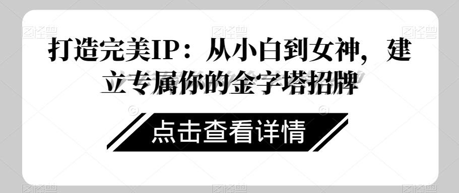 打造完美IP：从小白到女神，建立专属你的金字塔招牌-铜臭网