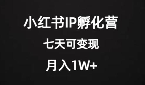 价值2000+的小红书IP孵化营项目，超级大蓝海，七天即可开始变现，稳定月入1W+-铜臭网