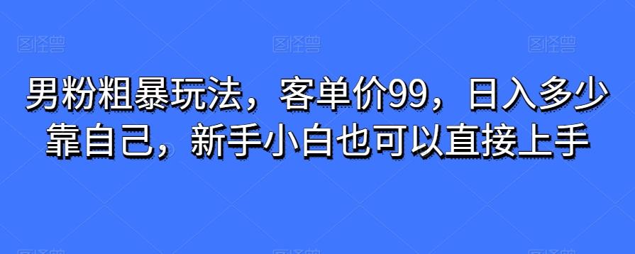 男粉粗暴玩法，客单价99，日入多少靠自己，新手小白也可以直接上手-铜臭网