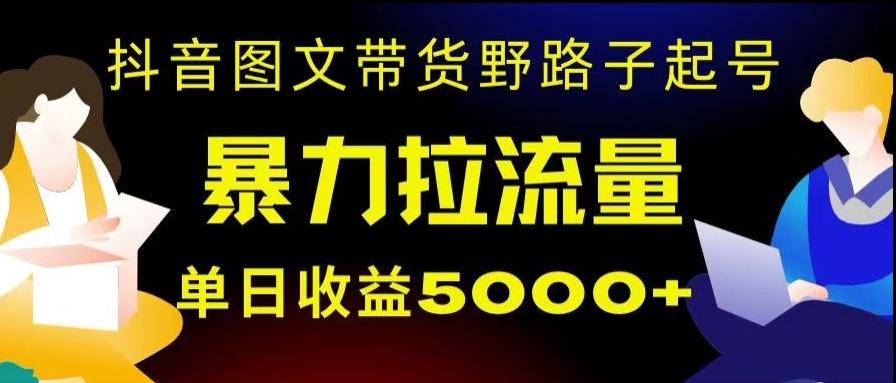 抖音图文带货暴力起号，单日收益5000+，野路子玩法，简单易上手，一部手机即可【揭秘】-铜臭网