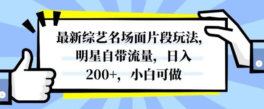 最新综艺名场面片段玩法,明星自带流量,日入200+,小白可做【揭秘】-铜臭网