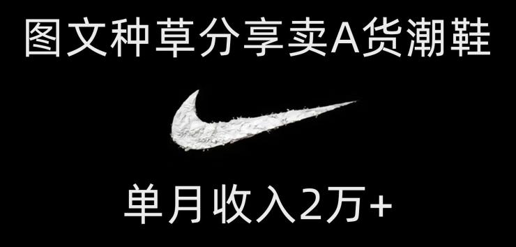靠图文种草分享卖A货潮鞋，每天一小时，单月收入2万+【揭秘】-铜臭网