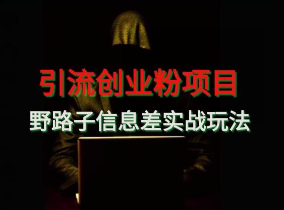 【引流创业粉】野路子信息差玩法实战教学-铜臭网