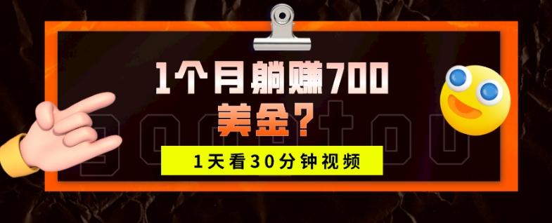 1天看30分钟视频，1个月躺赚700美金？-铜臭网