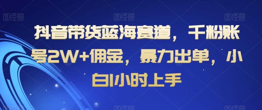 抖音带货蓝海赛道，千粉账号2W+佣金，暴力出单，小白1小时上手【揭秘】-铜臭网