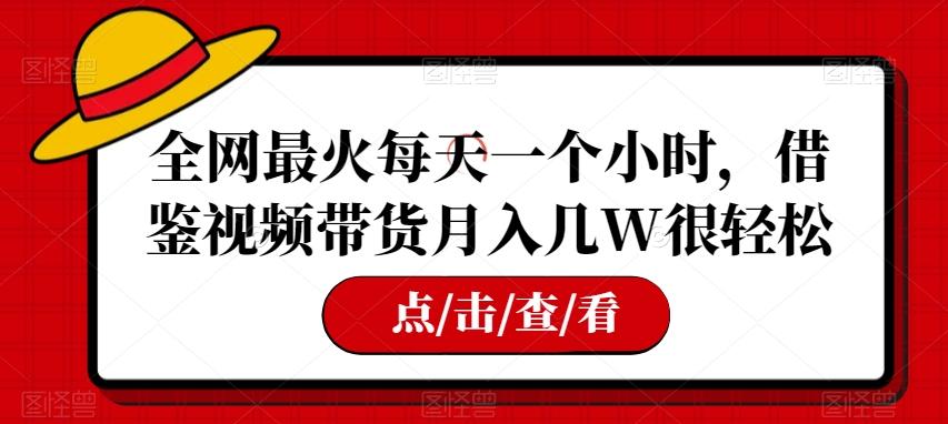 全网最火每天一个小时，借鉴视频带货月入几W很轻松【揭秘】-铜臭网