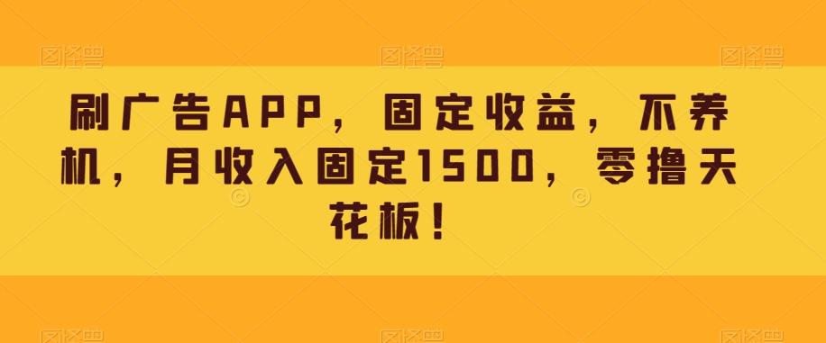刷广告APP，固定收益，不养机，月收入固定1500，零撸天花板！-铜臭网
