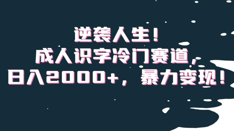 逆袭人生！成人识字冷门赛道，日入2000+，暴力变现！【揭秘】-铜臭网