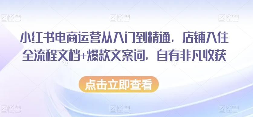 小红书电商运营从入门到精通，店铺入住全流程文档+爆款文案词，自有非凡收获-铜臭网