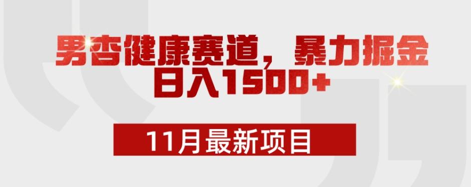 11月最新项目，男杏健康赛道，暴力掘金，日入1500+-铜臭网