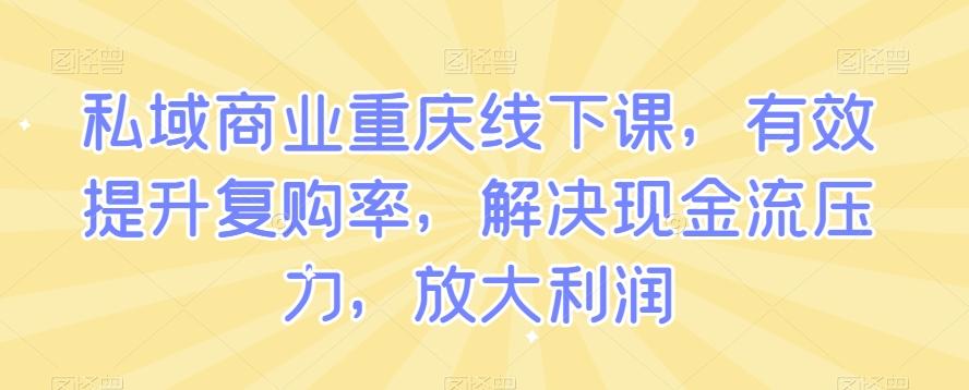 私域商业重庆线下课，有效提升复购率，解决现金流压力，放大利润-铜臭网