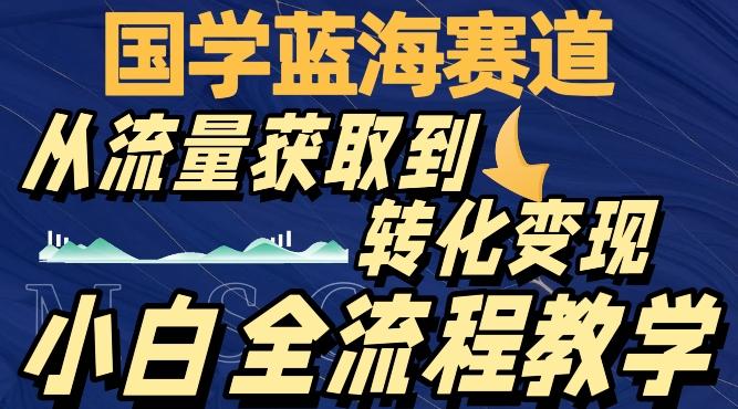 国学蓝海赛道，从流量获取，到转化变现，全流程教学-铜臭网