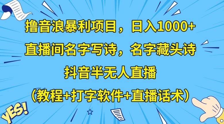 撸音浪暴利项目，日入1000+，直播间名字写诗，名字藏头诗，抖音半无人直播（教程+打字软件+直播话术）【揭秘】-铜臭网