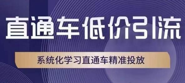 直通车低价引流课，系统化学习直通车精准投放-铜臭网