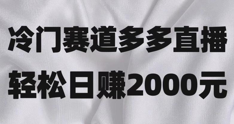 冷门赛道拼多多直播，简单念稿子，日收益2000＋【揭秘】-铜臭网