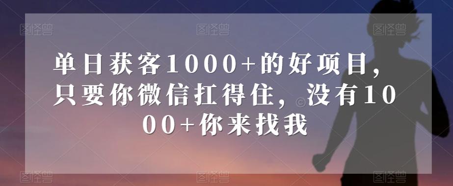 单日获客1000+的好项目，只要你微信扛得住，没有1000+你来找我【揭秘】-铜臭网
