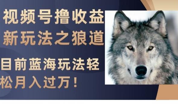 视频号撸收益新玩法之狼道，目前蓝海玩法，轻松月入过万【揭秘】-铜臭网