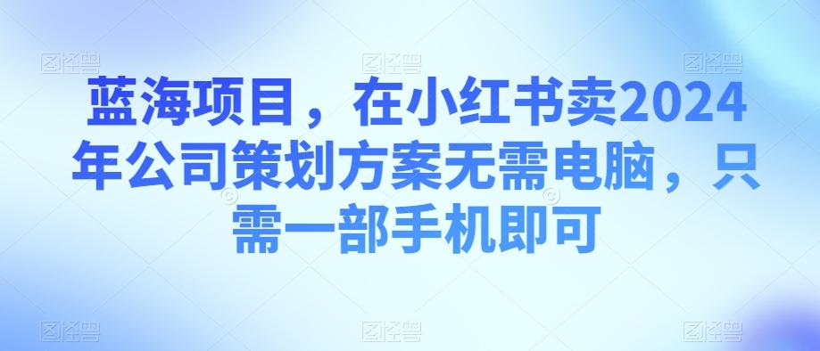 蓝海项目，在小红书卖2024年公司策划方案无需电脑，只需一部手机即可-铜臭网