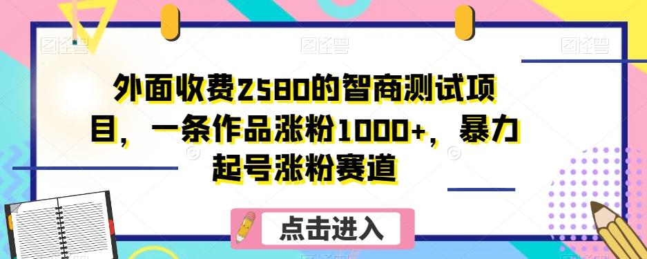 外面收费2580的智商测试项目，一条作品涨粉1000+，暴力起号涨粉赛道【揭秘】-铜臭网
