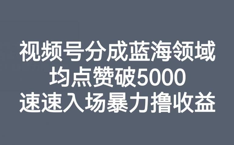视频号分成蓝海领域，均点赞破5000，速速入场暴力撸收益-铜臭网