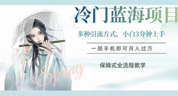 冷门蓝海项目，操作简单，小白3分钟上手，多种引流方式，保姆式全流程教学【揭秘】-铜臭网