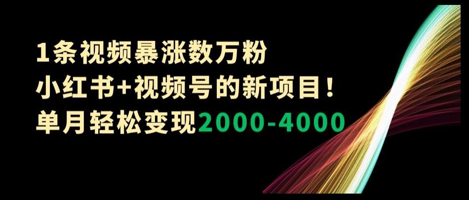 1条视频暴涨数万粉–小红书+视频号的新项目！单月轻松变现2000-4000【揭秘】-铜臭网