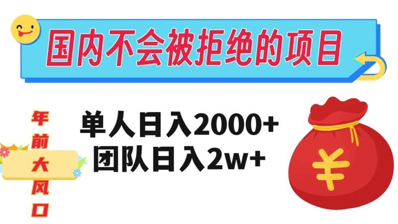 在国内不怕被拒绝的项目，单人日入2000，团队日入20000+【揭秘】-铜臭网