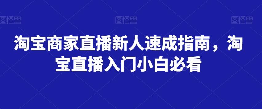 淘宝商家直播新人速成指南，淘宝直播入门小白必看-铜臭网