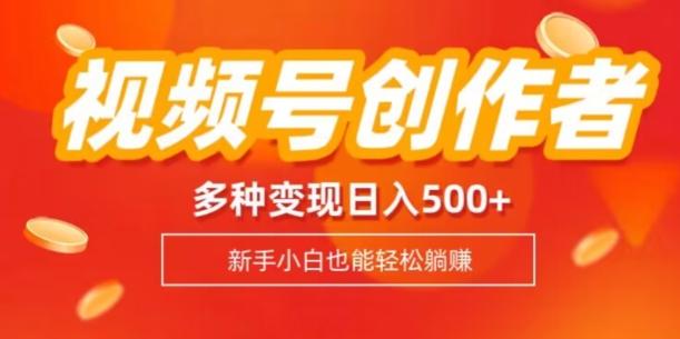 视频号创作者计划，多种变现方式，日入500+【内附1080g视频素材】-铜臭网