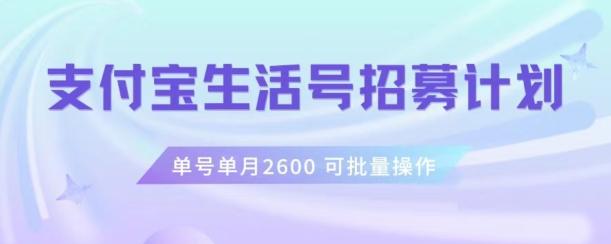 支付宝生活号作者招募计划，单号单月2600，可批量去做，工作室一人一个月轻松1w+【揭秘】-铜臭网