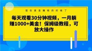 每天观看30分钟视频，一月躺赚1000+美金！保姆级教程，可放大操作【揭秘】-铜臭网