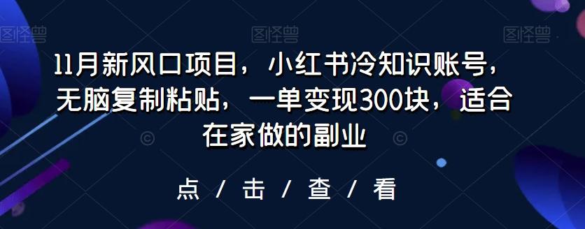 11月新风口项目，小红书冷知识账号，无脑复制粘贴，一单变现300块，适合在家做的副业-铜臭网