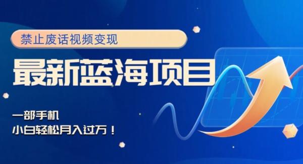 最新蓝海项目，靠禁止废话视频变现，一部手机，小白轻松月入过万！-铜臭网