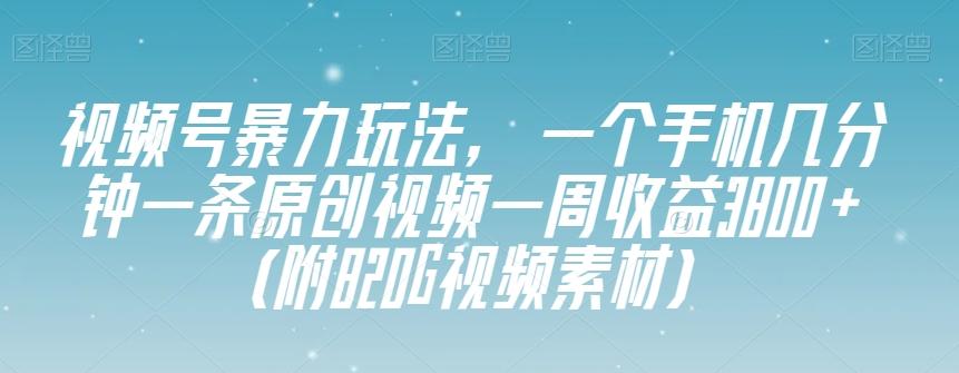 视频号暴力玩法，一个手机几分钟一条原创视频一周收益3800+（附820G视频素材）-铜臭网