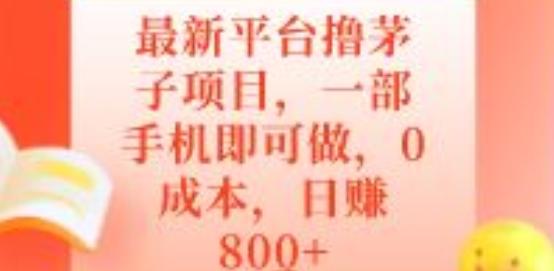 最新平台撸茅子项目，一部手机即可做，0成本，日赚800+-铜臭网