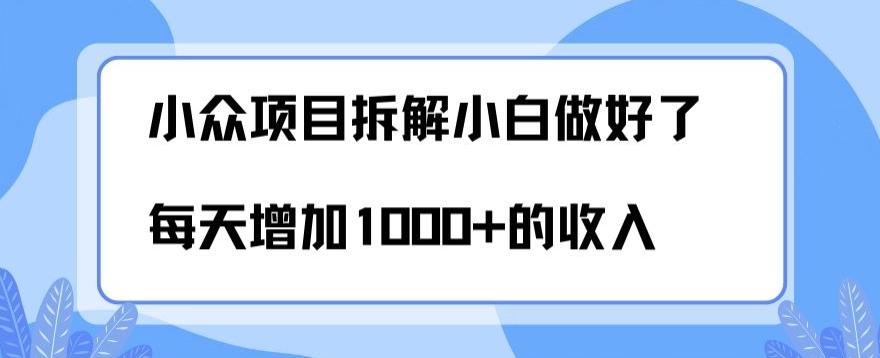 小众项目拆解，小白做好了每天可增加1000多的收入-铜臭网