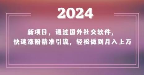 2024新项目，通过国外社交软件，快速涨粉精准引流，轻松做到月入上万【揭秘】-铜臭网
