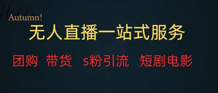 无人直播一站式服务（教程以及变现方式）-铜臭网