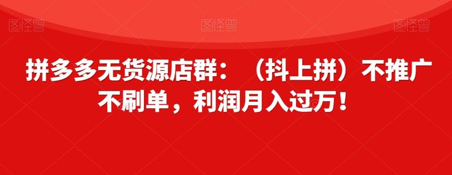 拼多多无货源店群：（抖上拼）不推广不刷单，利润月入过万！【揭秘】-铜臭网