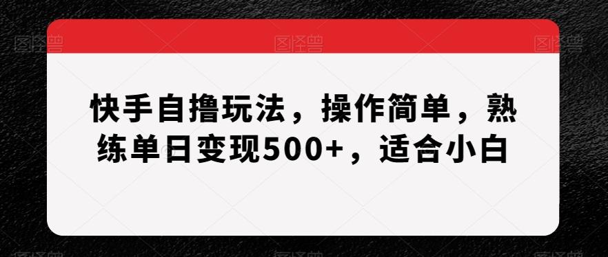 快手自撸玩法，操作简单，熟练单日变现500+，适合小白【揭秘】-铜臭网