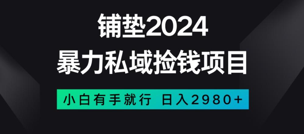 暴力私域捡钱项目，小白无脑操作，日入2980【揭秘】-铜臭网