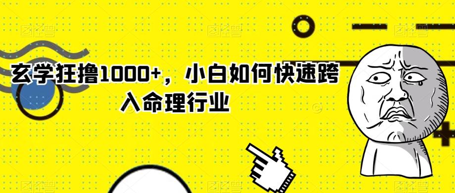 玄学狂撸1000+，小白如何快速跨入命理行业-铜臭网