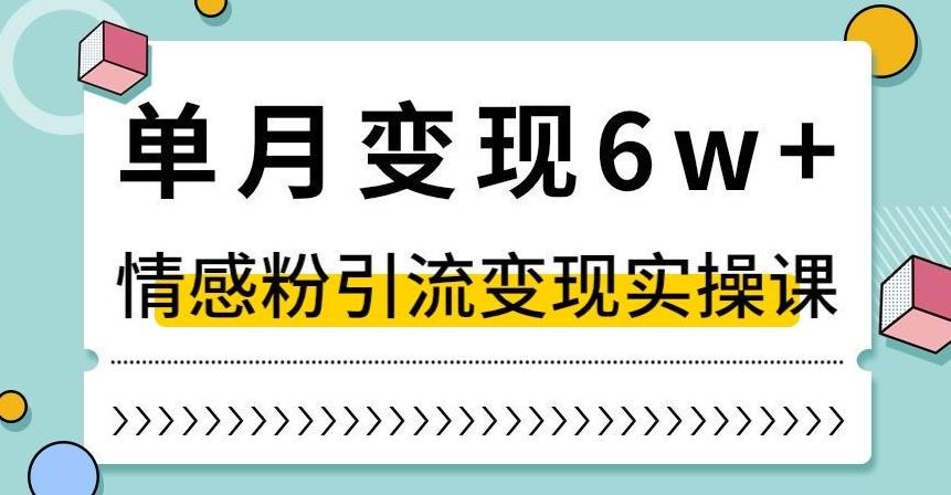 单月变现6W+，抖音情感粉引流变现实操课，小白可做，轻松上手，独家赛道【揭秘】-铜臭网