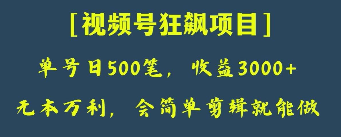 日收款500笔，纯利润3000+，视频号狂飙项目，会简单剪辑就能做【揭秘】-铜臭网