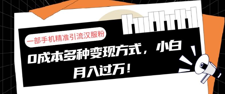 一部手机精准引流汉服粉，0成本多种变现方式，小白月入过万！-铜臭网