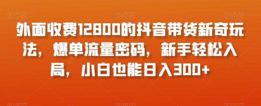 外面收费12800的抖音带货新奇玩法，爆单流量密码，新手轻松入局，小白也能日入300+【揭秘】-铜臭网