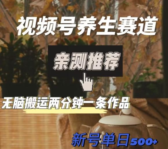 视频号养生赛道暴力掘金，无脑搬运，两分钟一条作品-新日单入500+-铜臭网